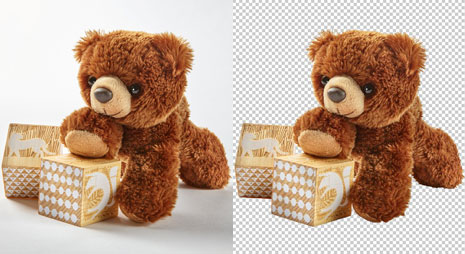 Transparent Background For Photos