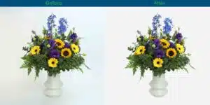 Clipping Path Service