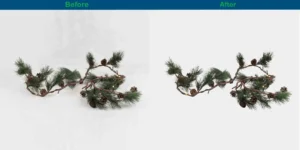 imgi_25_Image-masking-5-1_result